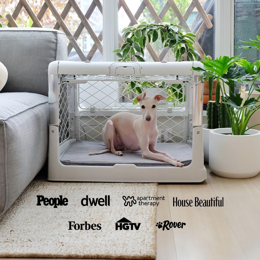 DIGGS Revol Collapsible Dog Crate with Wheels - Premium Portable Dog Crate - Safe, Stylish, and Convenient Indoor Kennel (Ash, Medium)