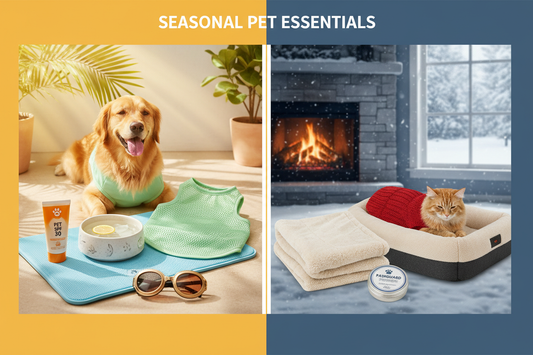 Seasonal Pet Care: Must-Have Products for Summer and Winter