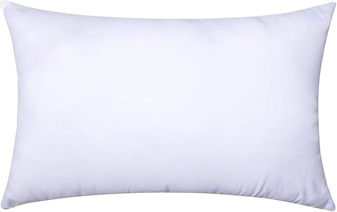 MIULEE Throw Pillow Insert Premium Pillow Stuffer Sham Rectangle for Decorative Cushion Bed Couch Sofa 16x24 Inch