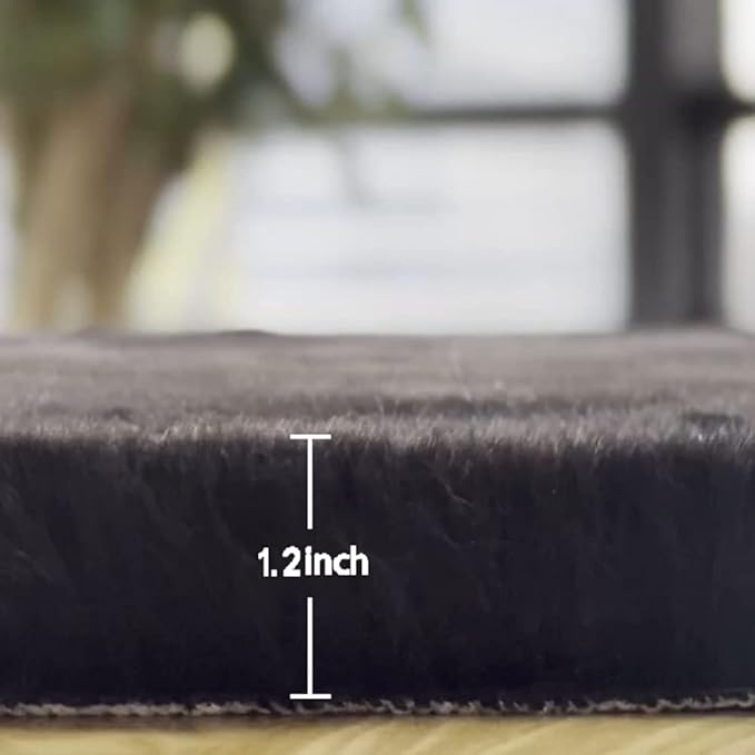 ORINOVA Fuzzy Rabbit Fur Rug Fluffy Rugs Washable Area Rugs for Living Room Black Furry Rug for Bedroom Rugs 3x5 Cute Room Girl Room Home Decor Rectangle
