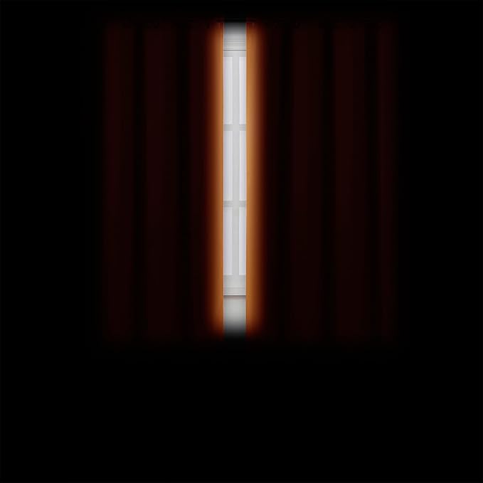 LEMOMO Orange Blackout Curtains/38 x 54 Inch/Set of Two Panels Grommet Living Room Curtains