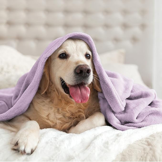 BEDELITE Fleece Blanket King Size Blankets for Bed, Luxury Plush Cozy Fuzzy Blanket 108x90 inches, Super Soft Warm Lightweight Throw Blanket All Seasons Suitable, Lilac