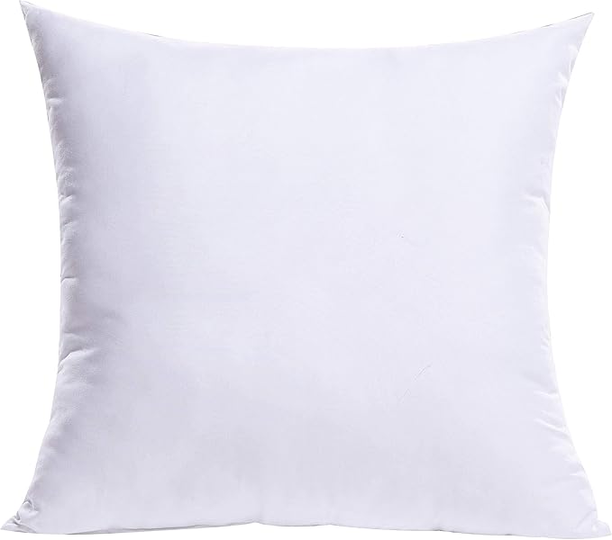 MIULEE Throw Pillow Insert Premium Pillow Stuffer Sham Square for Decorative Cushion Bed Couch Sofa 20x20 Inch