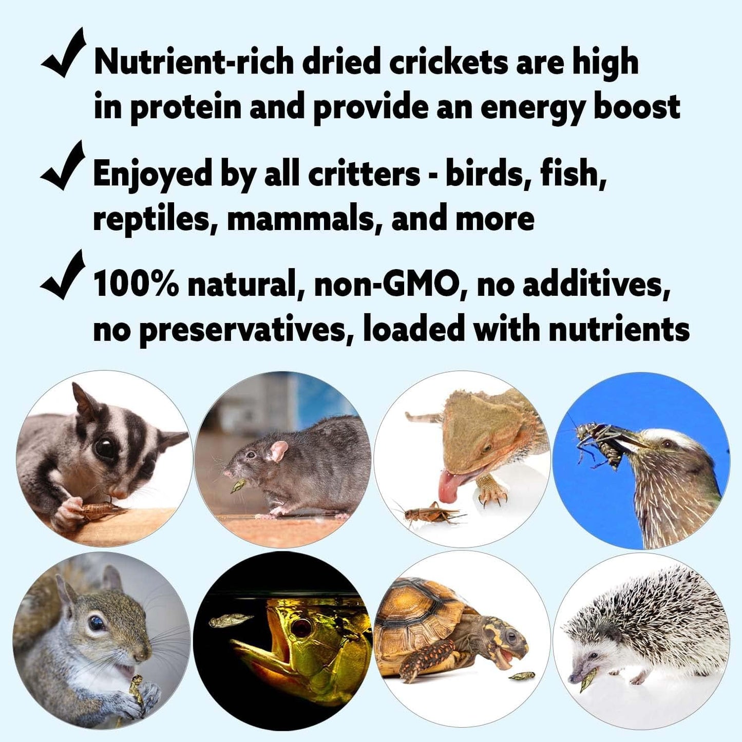1.5 Pound Dried Crickets - High Protein Insect Treat - Chickens, Wild Birds, Hedgehogs, Bluebirds, Reptiles, Sugar Gliders, Opossums, Skunks, Lizards, Bearded Dragons, Fish, Turtles 8 oz. (3 Pack)