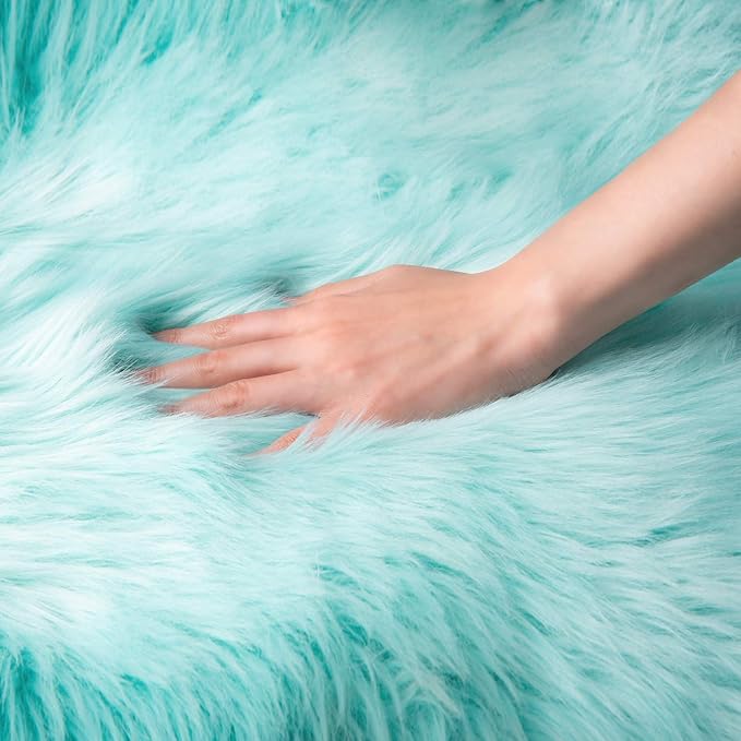 Ashler Faux Fur Area Rug, Fluffy Shaggy 3 x 5 Feet Rectangle Turquoise Fuzzy Machine Washable Shag Rug for Nursery, Kids & Living Room