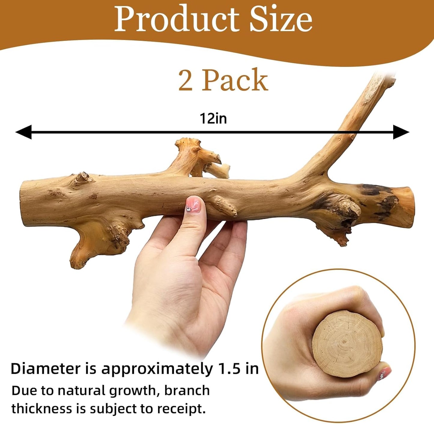 kathson 2PCS Snake Climbing Branch,Reptile Wood Branches Decor, Lizard Natural Polished Wood Climb Accessories,Reptiles Habitat Tank Tree Trunk Decorations for Bearded Dragon Geckos Chameleons Frog