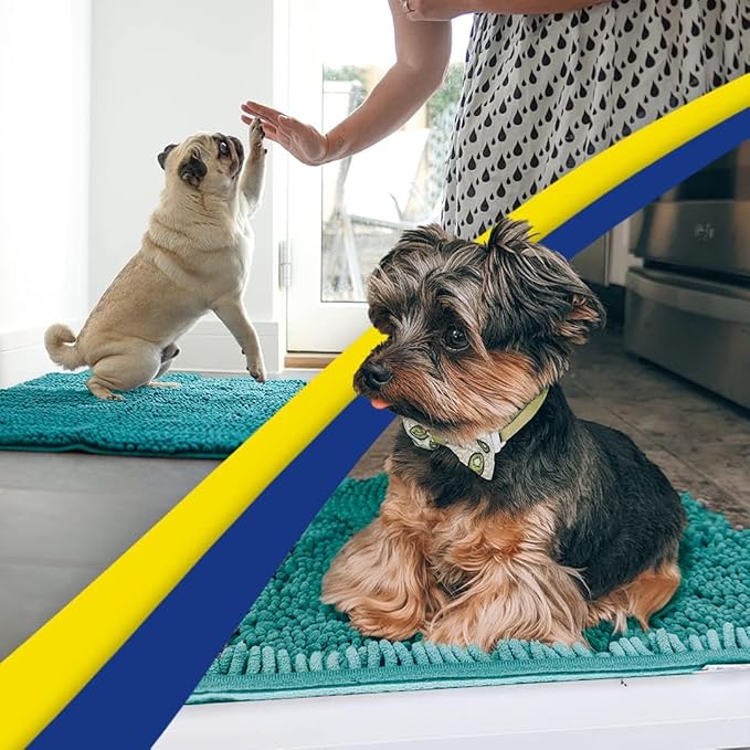 Muddy Mat® | Super Absorbent Door Mat Indoor, Microfiber Quick Dry Chenille Entryway Rug, Non-Slip Front Door Mat, Indoor Mats for Entryway, Machine Washable Pet Rug, Teal 48" x 60"