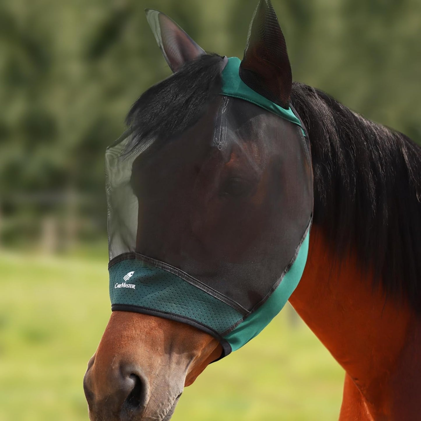 Horse Fly Mask Large Space Breathable UV Protection Equine Mask with Reflective Features on Ears Hunter Green L