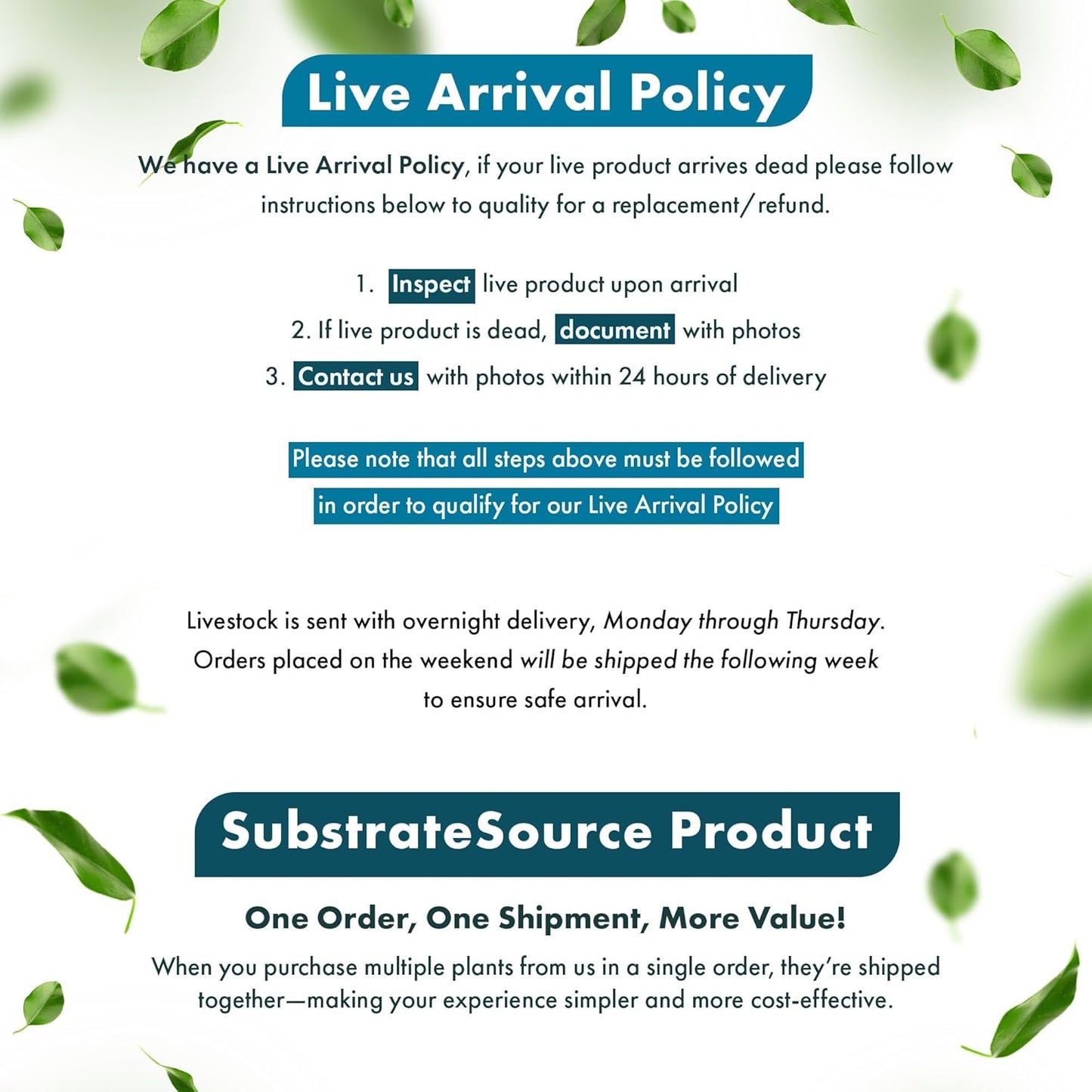 SubstrateSource Live Plants - Parrot’s Feather (Myriophyllum aquaticum) - Moderate to High Light, Bright to Blue-Green, Background Placement, Fine-Textured Aquatic Stem Plant - Lead Bunch, 1 Pack