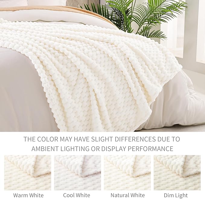 Exclusivo Mezcla Fleece Twin Blanket for Bed, Extra Large Fuzzy Ivory Bed Blankets, Soft Cozy Plush Sofa Throws for All Seasons, 90x66 Inches