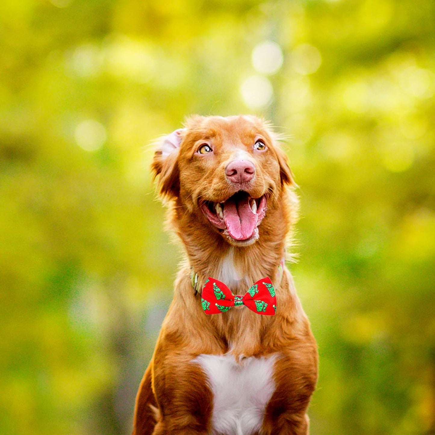 PET SHOW 10pcs/Pack 4.5 * 2.5" Christmas Large Dogs Collar Attachment Bow Ties Xmas Parties Medium Dog Cats Collar Charms Accessories Slides Bowties Assorted