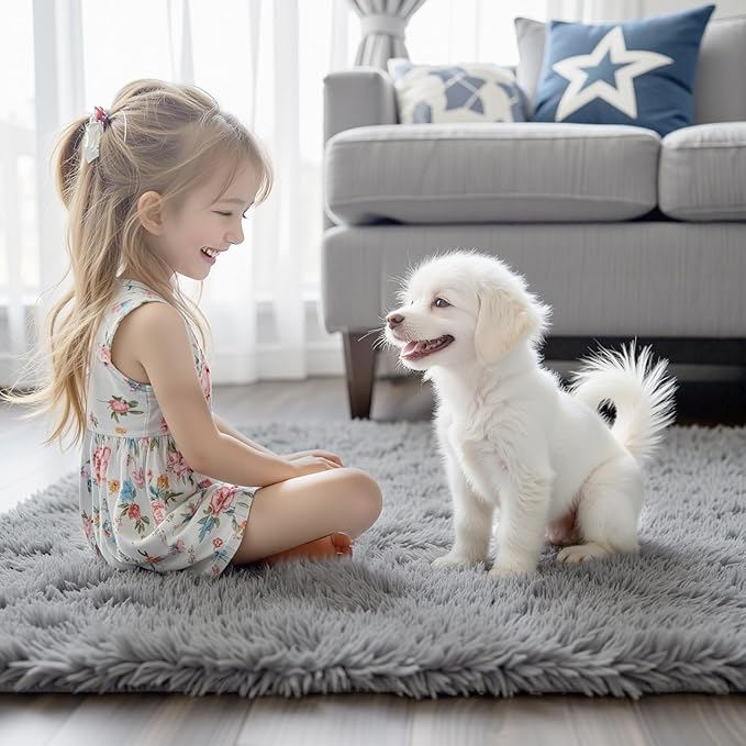 Ultra Soft Rug for Living Room, 3x5 Feet Grey Shag Area Rugs for Living Room, Modern Shaggy Carpets for Teens Dorm Nursery Home, Non Slip Indoor Rugs Floor Carpet(3 x 5, Light Grey)