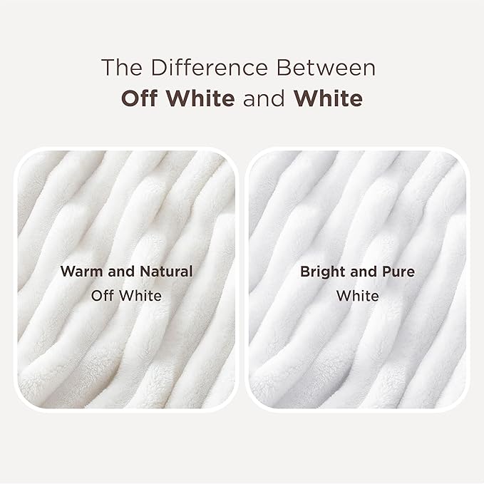 Bedsure GentleSoft Twin Blanket for Bed, Cozy Soft Twin Size Fleece Throw for Women and Girls, Dorm Room Essentials and Graduation Gift for Her, Off White, 60x80 Inches