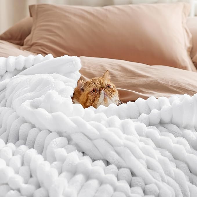 Bedsure GentleSoft White Full Blanket for Bed - Cozy Soft Blankets for Women, Cute Large Throws for Girls, Bright White, 84x90 Inches