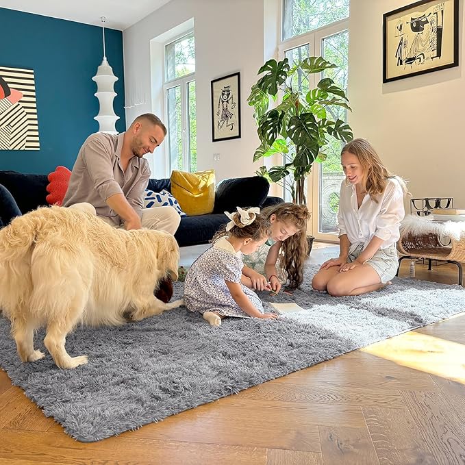 OLANLY 7x10 Machine Washable Large Area Rugs for Living Room, Bedroom, Soft Fluffy Shaggy Bedside Rug, Indoor Floor Carpet for Kids Girls and Boys, Dorms, Nursery, Home Decor Aesthetic, Light Grey