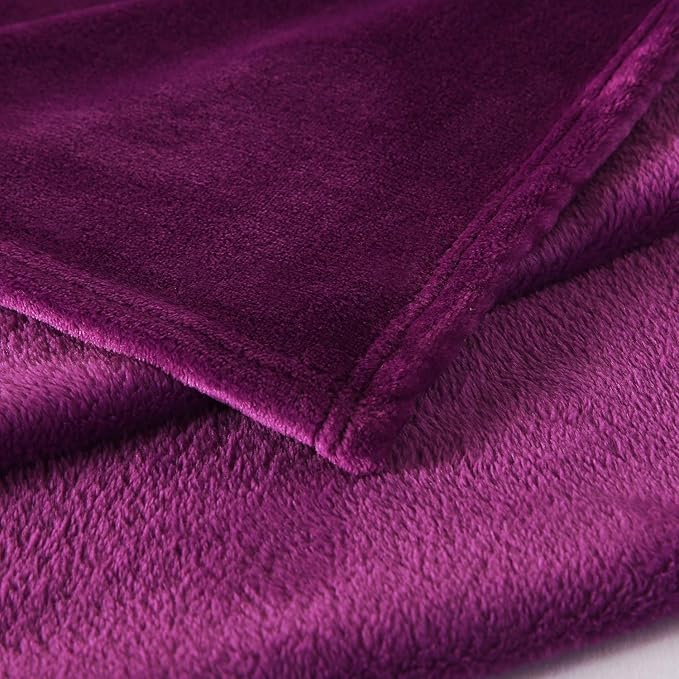 TASTHROW Large Flannel Fleece Throw Blanket, 50×70 Inch - Cozy Lightweight Thick Blanket - All Seasons Suitable for Women, Men and Kids (Purple)