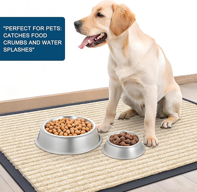 OLANLY Front Door Mat Indoor Outdoor Entrance, 2-Pack 29.5 x 17 Inch, Waterproof Heavy Duty Doormat, Fade Resistant, Low Profile, Easy Clean Patio Porch Welcome Floor Mats for Entry, Beige