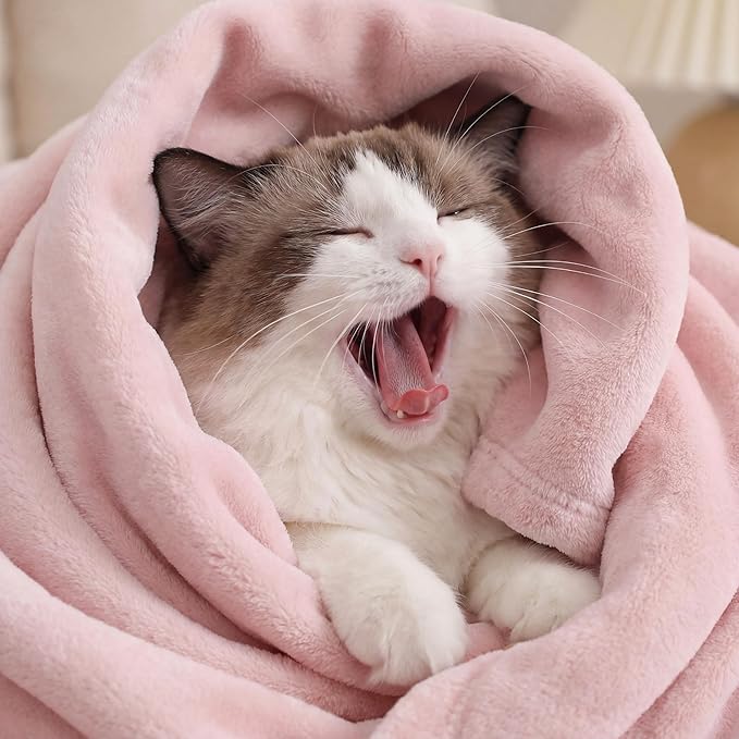 Bedsure GentleSoft Pink Fleece Blankets Queen Size - Bed Blanket Soft Lightweight Plush Fuzzy Cozy Luxury Microfiber, 90x90 inches