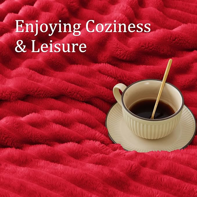 BEDELITE Twin Blanket for Couch & Bed, 300GSM Soft & Warm Fleece Blanket, Decorative and Giftable Striped Red Blankets for Women, Men, 60"x80"
