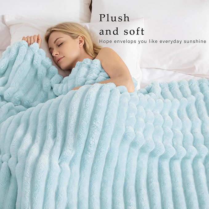 Exclusivo Mezcla Twin Size Flannel Fleece Blanket, Super Soft Striped Jacquard Bed Blanket, Lightweight Fuzzy Cozy for All Seasons, 60x80 Inches, Light Blue