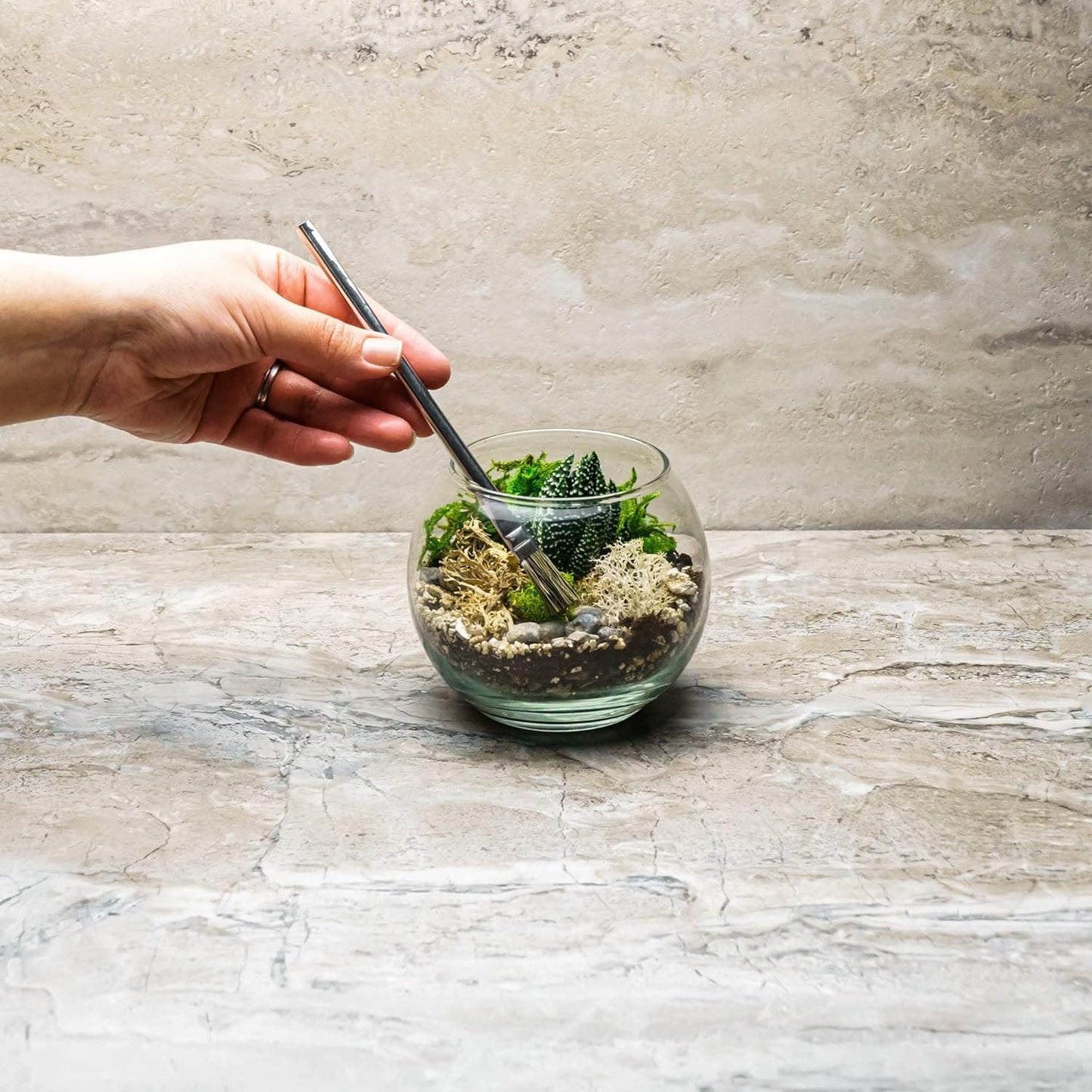 Cute Farms Glass Terrarium Kit | Just Add Your Own Plants (One Glass Bowl)