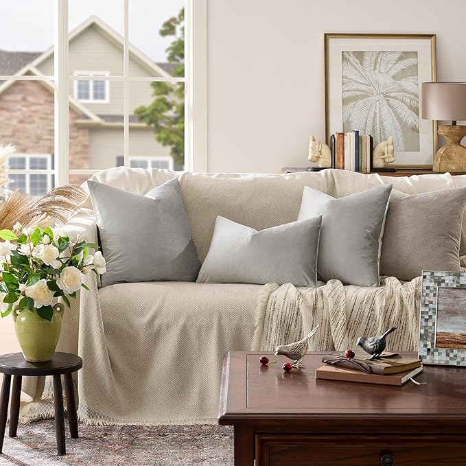 Silver Grey Velvet Decorative Throw Pillow Covers for Sofa Bed 2 Pack Soft Cushion Cover
