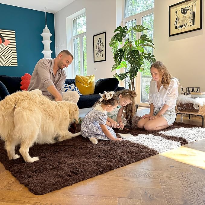 OLANLY 2x2 Machine Washable Small Rug, Soft Fluffy Shaggy Throw Rug for Bedroom, Entryway, Indoor Floor Carpet for Kids, Nursery, Home Decor, Coffee
