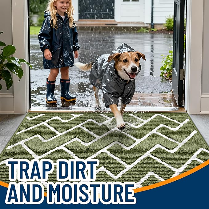 OLANLY Front Door Mat, Non-Slip Rubber Backing, Dirt Resistant and Absorbent, Washable, Easy to Clean Low-Profile Indoor Doormat for Back Door, Entryway, Inside Entrance, 32x20, Green