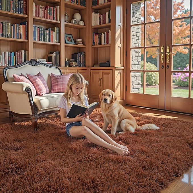 8x10 Area Rugs for Living Room Bedroom, Large Area Rug Shaggy Carpet Soft Plush Furry Bedside Rug, Rugs for Home Decor (Coffee, 8 x 10)