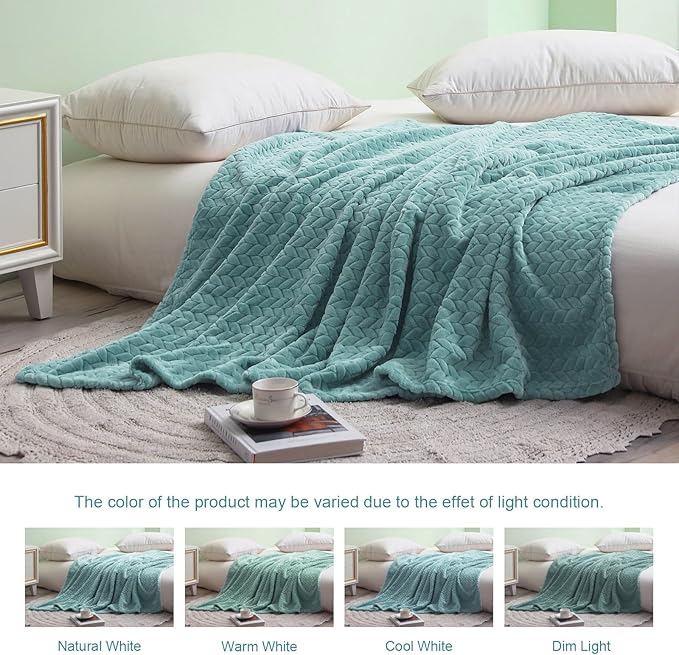 Exclusivo Mezcla Fleece Throw Blanket for Couch and Bed, 50x70 Inches Soft Cozy Jacquard Flannel Blankets, Lightweight Fuzzy Plush Warm Throws for Women, Celadon
