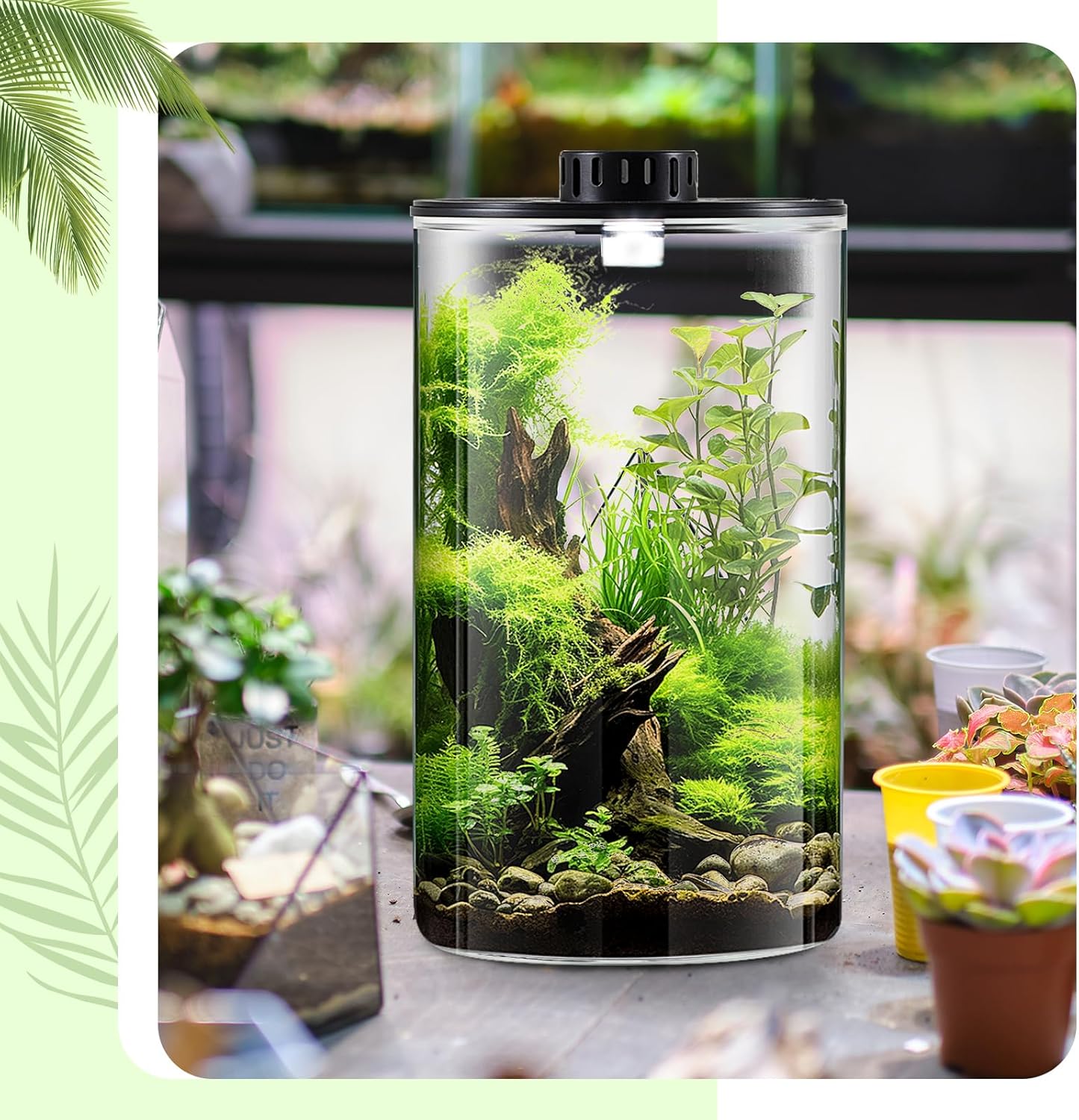 Maxdot Glass Plant Terrarium Kit with Light for Succulent, Moss, Miniature Gardening Landscape, Betta Fish Tank, Office Home Decoration, Plant Lovers Gifts(9.8 x 5.9 Inch)
