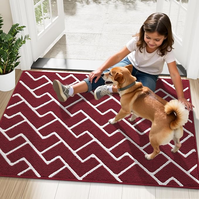 OLANLY Front Door Mat, Non-Slip Rubber Backing, Dirt Resistant and Absorbent, Washable, Easy to Clean Low-Profile Indoor Doormat for Back Door, Entryway, Inside Entrance, 36x24, Burgundy