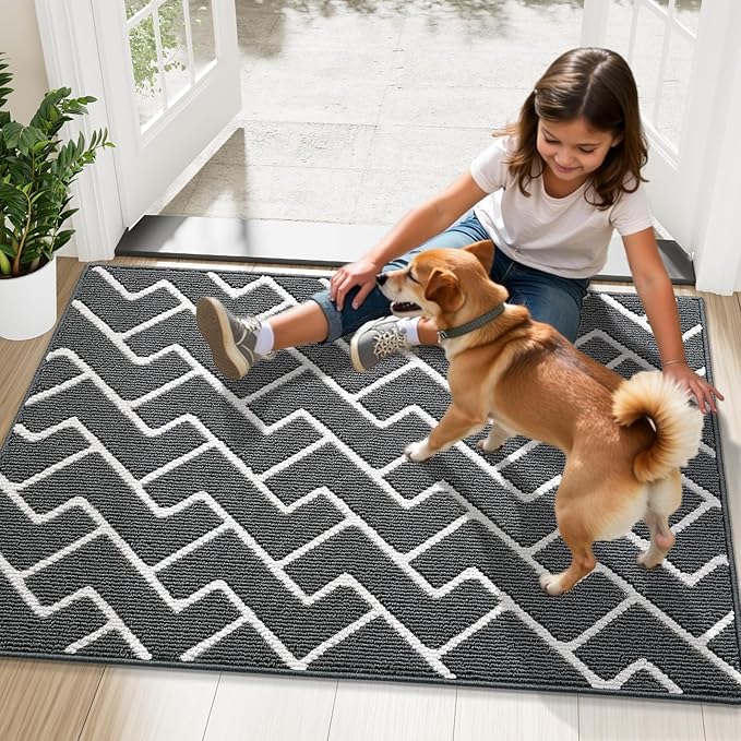 OLANLY Front Door Mat, Non-Slip Rubber Backing, Dirt Resistant and Absorbent, Washable, Easy to Clean Low-Profile Indoor Doormat for Back Door, Entryway, Inside Entrance, 36x24, Charcoal