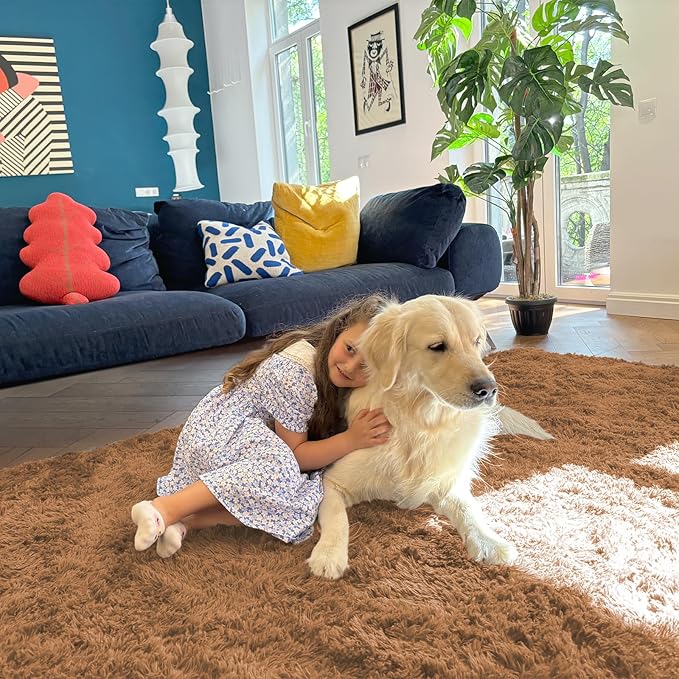 OLANLY 6x9 Machine Washable Large Area Rugs for Living Room, Bedroom, Soft Fluffy Shaggy Bedside Rug, Indoor Floor Carpet for Kids Girls and Boys, Dorms, Nursery, Home Decor Aesthetic, Khaki