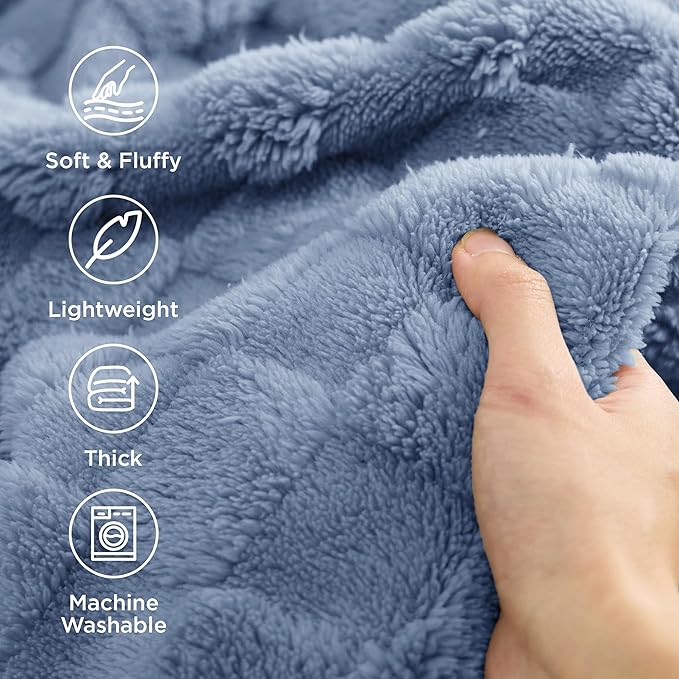 Bedsure GentleSoft Twin Blanket for Bed Ashley Blue - Super Soft Cozy Blankets for Kids Girls, Cute Fuzzy Fleece Throws for Bedroom Couch, 60x80 Inches