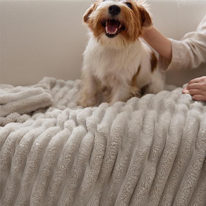 Bedsure GentleSoft Twin XL Blanket for Couch - Cozy Soft Blankets for Women, Cute Small Fleece Throws for Girls, Beige, 66x90 Inches