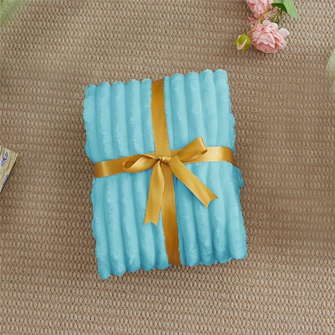 BEDELITE Fleece Throw Blanket for Couch - 300GSM Soft & Warm Fluffy Sky Blue Blanket, Decorative and Giftable Striped Blankets for Women, Men, 50"x60"