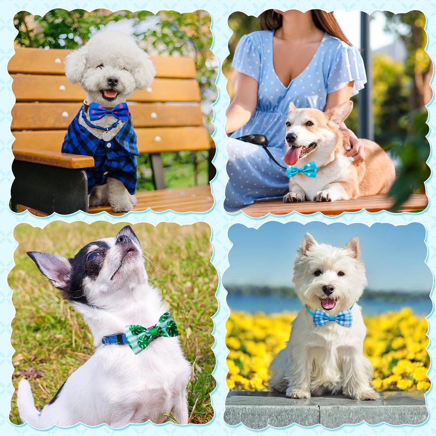 Reginary 50 Pieces Dog Bow Ties Pet Collar Bow Puppy Collar Attachment with Rubber Bands for Small Medium Cat Pet Grooming Charms Accessories Wedding Birthday Occasion(Fresh Fruit Style)