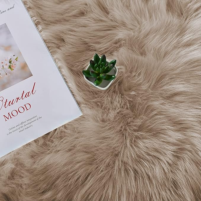 Latepis Shag Area Rugs 4x6 Machine Washable Faux Fur Rug Brown Beige Fluffy Carpet for Living Room Shaggy Plush Rug for Bedroom Floor Home Decor Rectangle