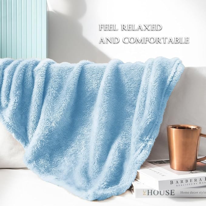 Exclusivo Mezcla Plush Fuzzy Fleece Bed Blanket Twin Size, Super Soft, Fluffy and Warm Blankets for Couch, Bed, All Season (Light Blue, 90x66 Inches)