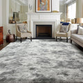 4x6 Ft Shag Rugs for Bedroom Living Room, Tie-Dyed Ultra Soft Fluffy Furry Area Rugs for Indoor Floor, Aesthetic Carpet for Kids Home Decor (Grey)