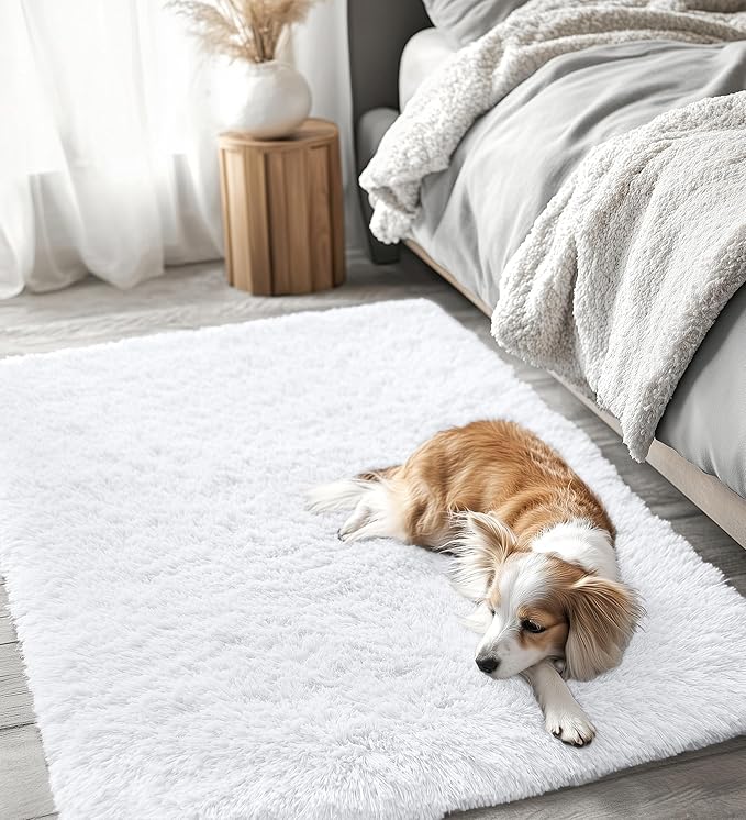 OLANLY 4x4 Machine Washable Accent Rug, Soft Fluffy Shaggy Area Rug for Bedroom, Living Room, Indoor Floor Carpet for Kids, Nursery, Home Decor, White