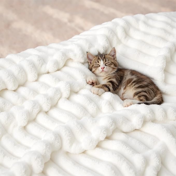 Bedsure GentleSoft Full Size Blanket for Bed - Cozy Soft Blankets for Women, Cute Large Fleece Throws for Girls, Off White, 84x90 Inches