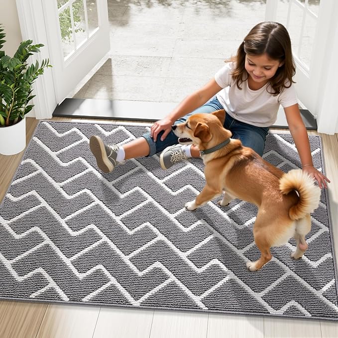OLANLY Front Door Mat, Non-Slip Rubber Backing, Dirt Resistant and Absorbent, Washable, Easy to Clean Low-Profile Indoor Doormat for Back Door, Entryway, Inside Entrance, 40x32, Grey