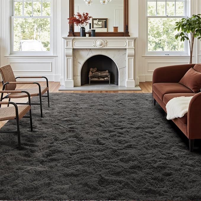 4x6 Ft Shag Rugs for Bedroom Living Room, Ultra Soft Fluffy Furry Area Rugs for Indoor Floor, Aesthetic Carpet for Kids Home Decor (Grey)