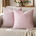 GIGIZAZA Decorative Couch Throw Pillow Cover,Set of 2 20x20 Sweet Lilac Pillow Covers,Square Sofa Velvet Throw Cushions