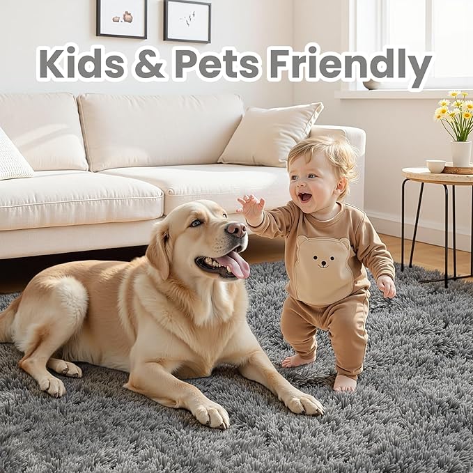 6x9 Area Rugs for Living Room Rug: Soft Fluffy Shag Light Gray Rugs for Bedroom, Non-Slip Large Fuzzy Plush Rug Indoor Floor Carpet for Nursery Kids Boys Girls Room, Dorms, Playroom, Modern Home Decor