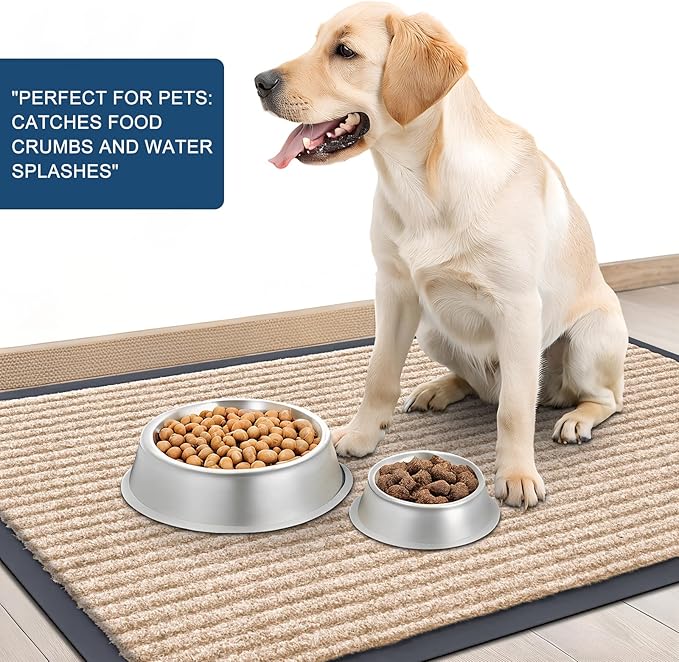 OLANLY Front Door Mat Indoor Outdoor Entrance, Waterproof Heavy Duty Doormat, Fade Resistant, Low Profile, Easy Clean Patio Porch Welcome Floor Mats for Entry, 59x40, Beige