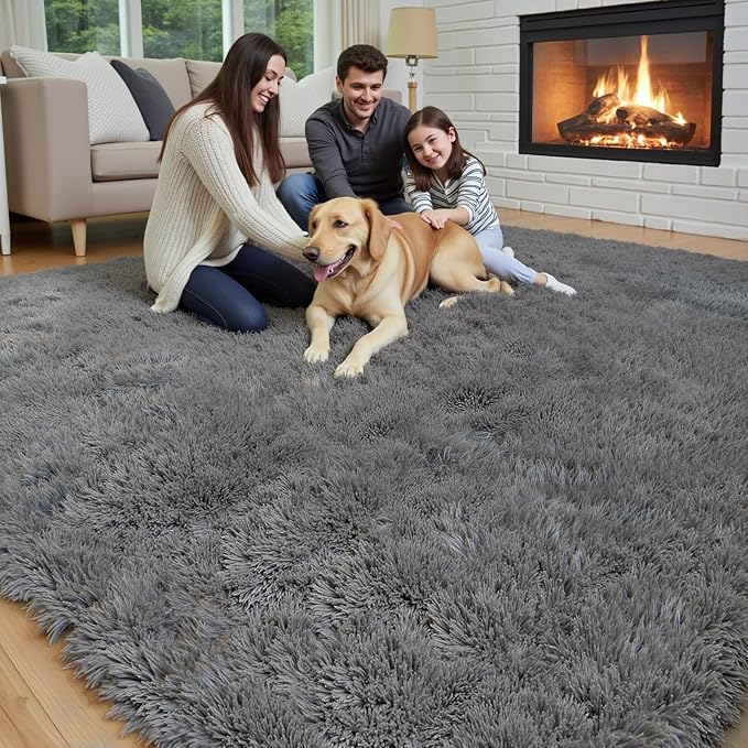 Area Rugs 9x12 Living Room, Large Area Rug Shag Shaggy Carpet Soft Plush Furry Bedside Rug, Machine Washable Area Rugs for Bedroom Kids Girls Boys Home Decor Anti Slip(9 x 12, Dark Grey)