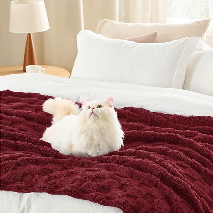 Bedsure GentleSoft Red Throw Blanket for Couch - Super Soft Cozy Blankets Gifts for Kids Girls, Cute Small Fleece Mother's Day Throws for Bedroom Home Decor, 50x70 Inches